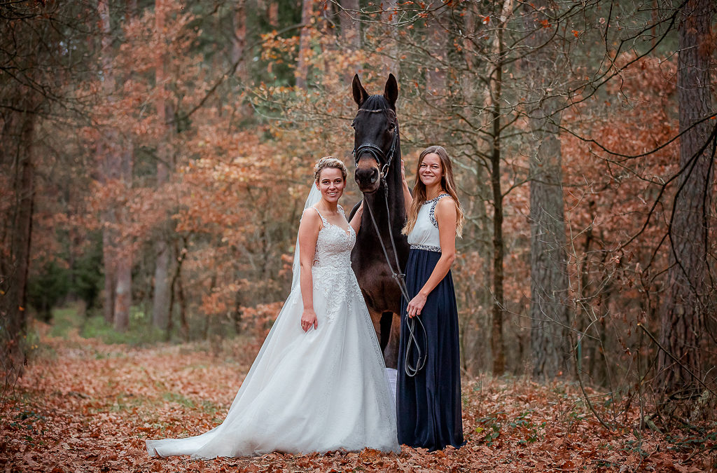 After Wedding mit Pferd