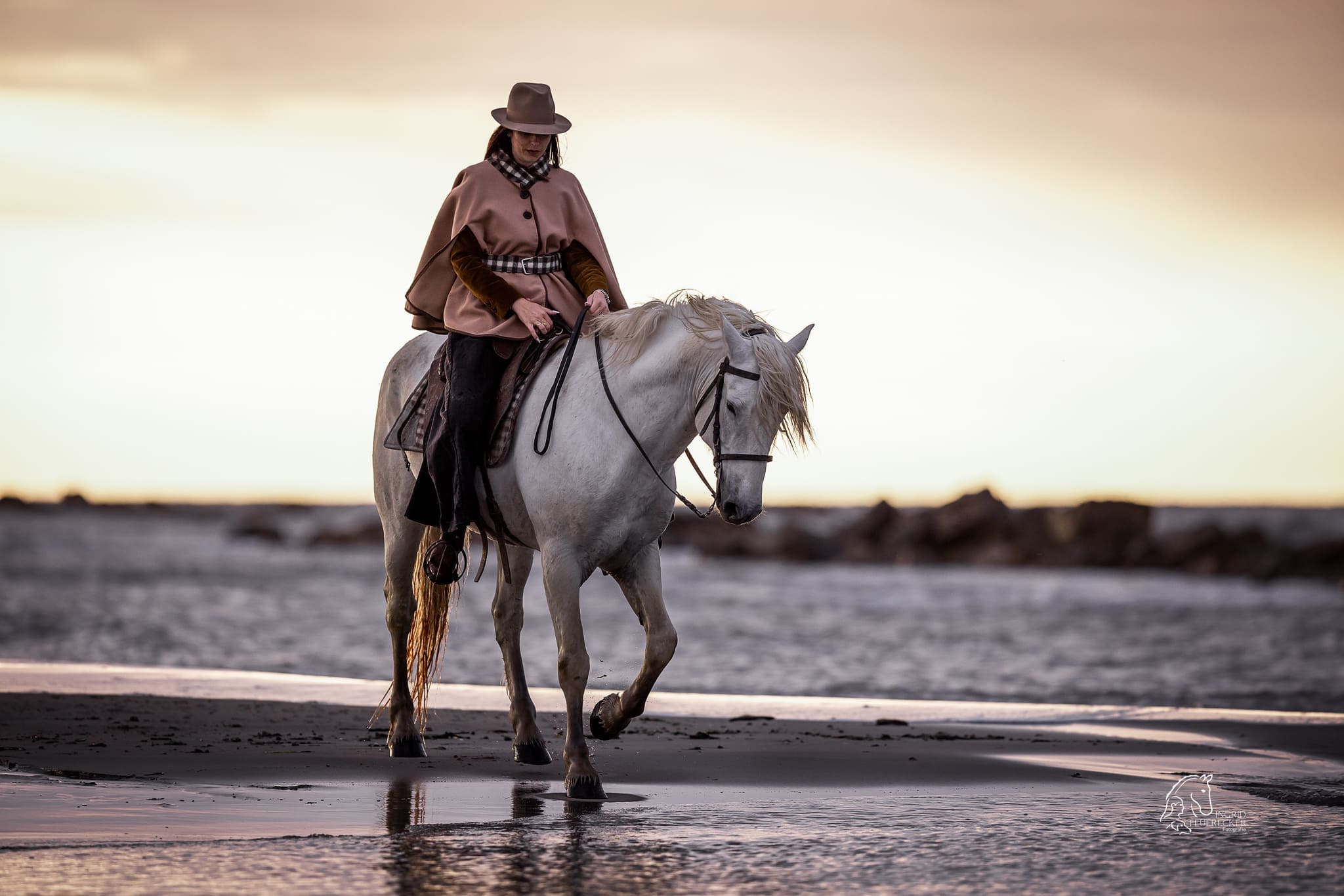 Reiterin mit Ihrem Camarguepferd am Strand