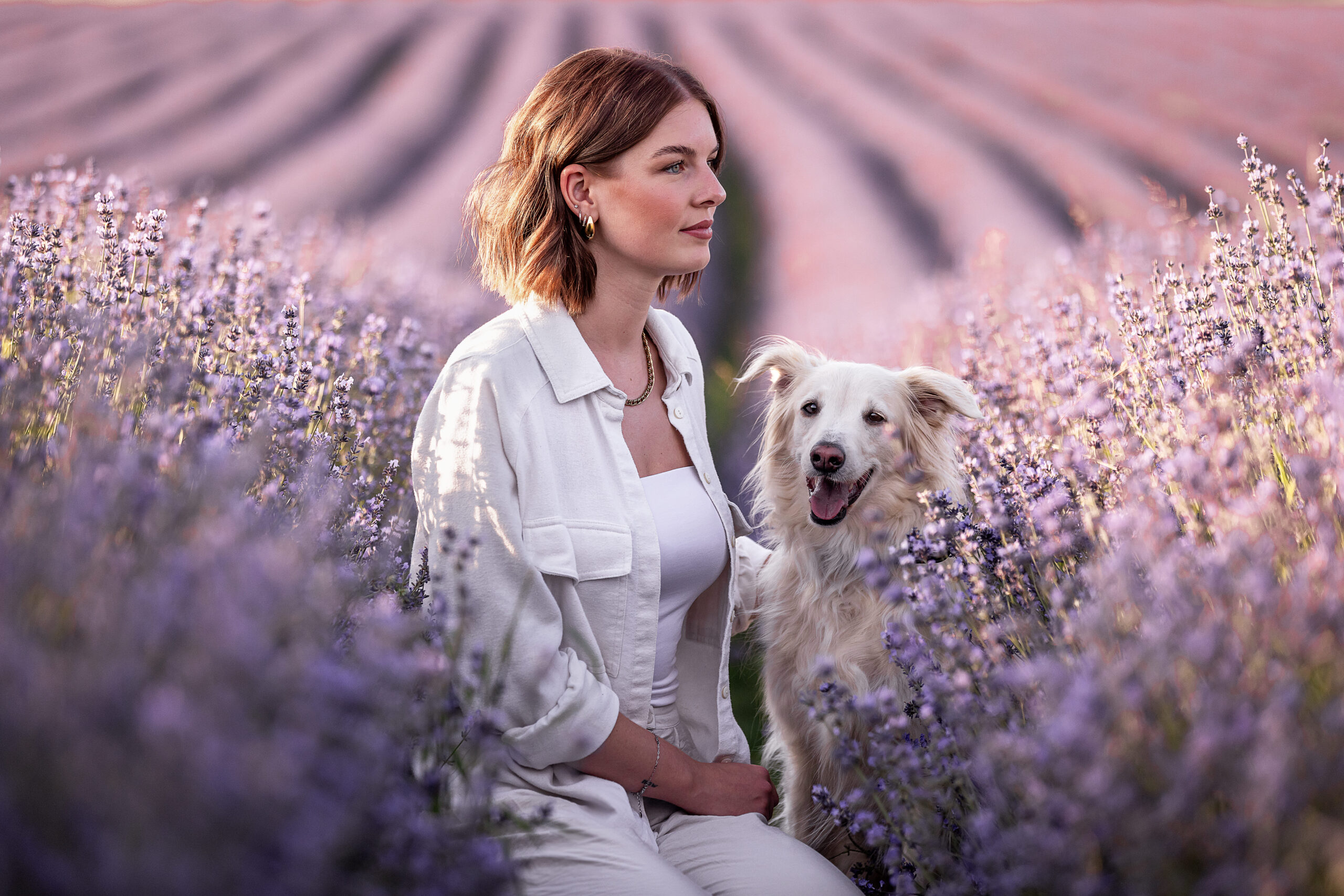 Frau mit Hund im Lavendelfeld