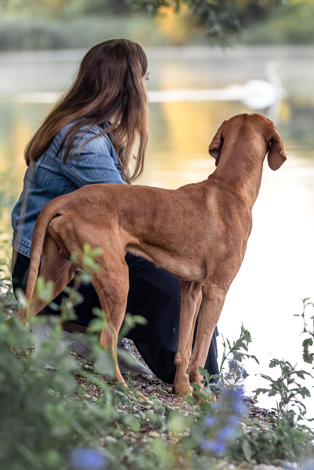Frau sitzt mit Hund am Ufer