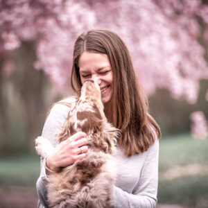 Australian Shepard schleckt die Nase ab