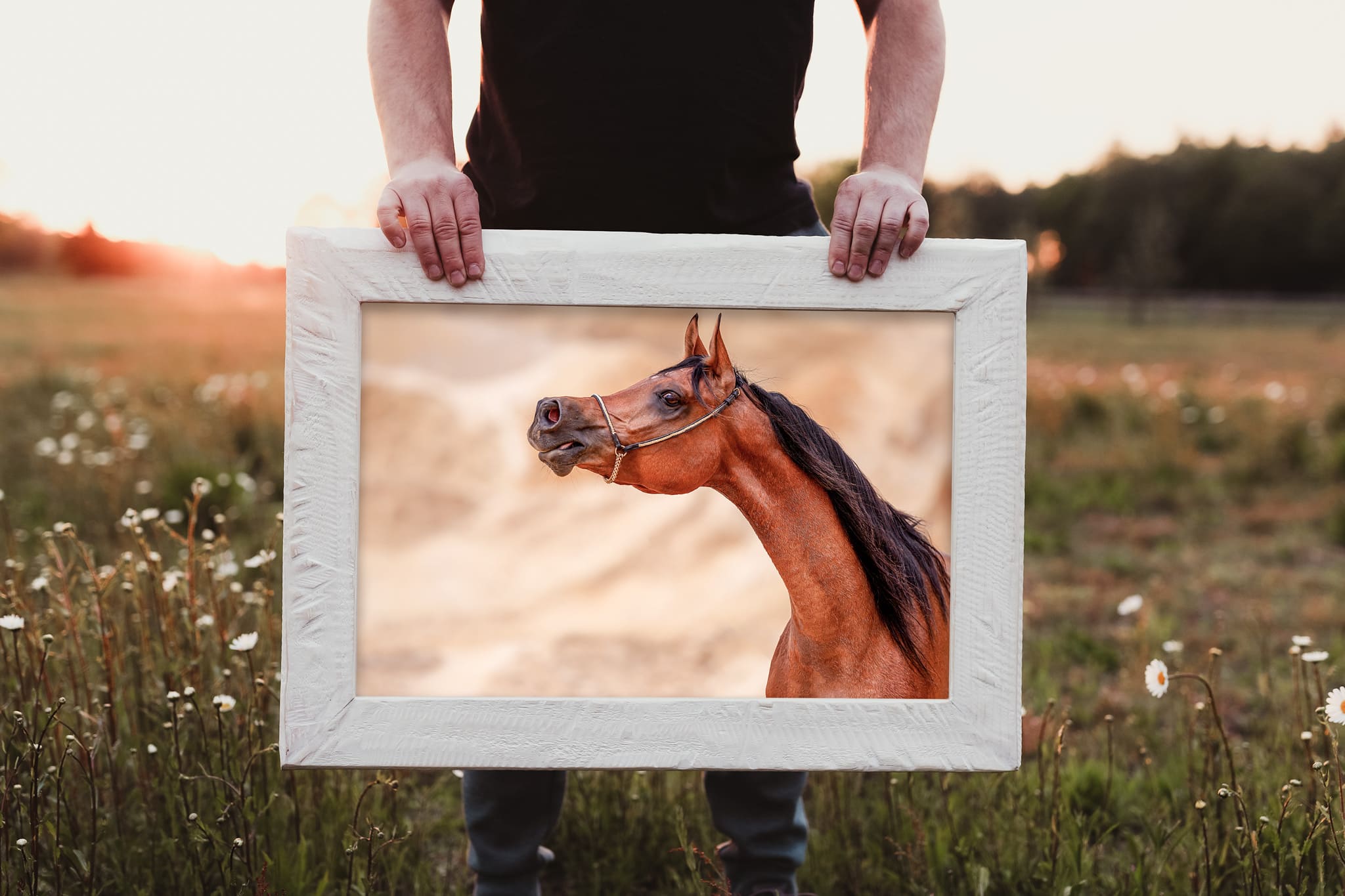 gerahmtes Holzbild mit Pferdefoto. Pferdefotografie.