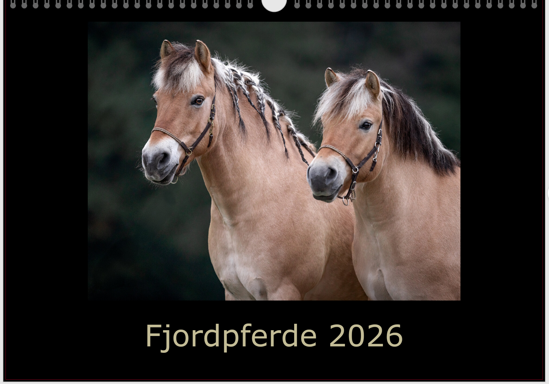 Fjordpferde auf dem Deckblatt des Kalenders