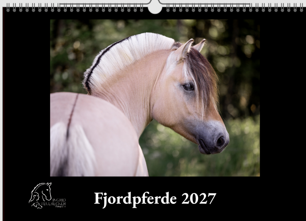 Fjordpferdekalender 2027